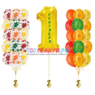 Комплект шаров с цифрой на 1 сентября
