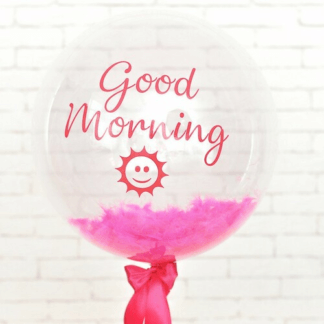 Шар BUBBLE с надписью и фуше перьями