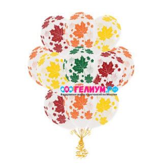 Облако воздушных шаров Разноцветные листья