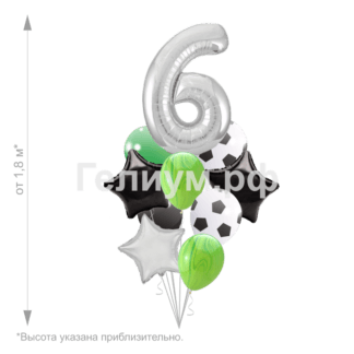 Облако шаров с шифрой на выбор Болельщик 3