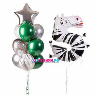 Воздушные шарики Мадагаскар