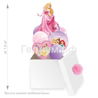 Коробка с шарами Спящая красавица