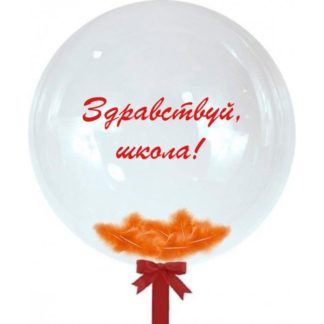 Шар с перьями и надписью