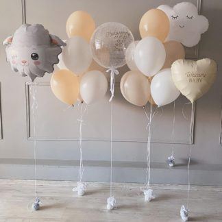 Шары на выписку из роддома Нежность