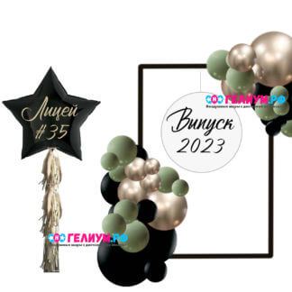 Фотозона из воздушных шаров