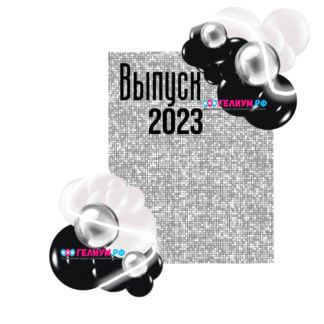 Фотозона из шаров черно-серебренная