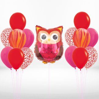 Набор воздушных шаров Сова