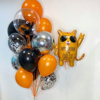 Шары на день рождения мужчине с котом