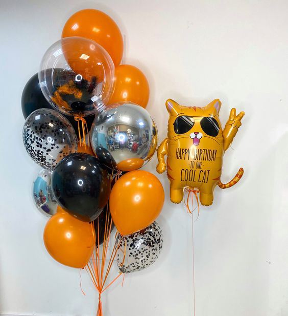 Шары на день рождения мужчине с котом