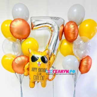Воздушные шары с котом