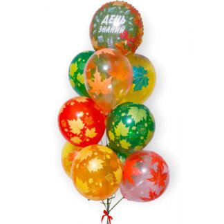 Фонтан шаров кленовые листья День знаний