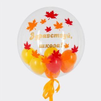 Шар с шариками внутри здраствуй школа