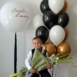 Шары воздушные с большим шаром Снова в школу