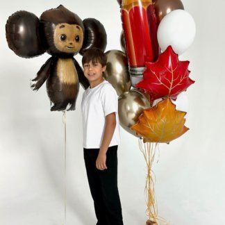 Набор гелиевых шаров в школу