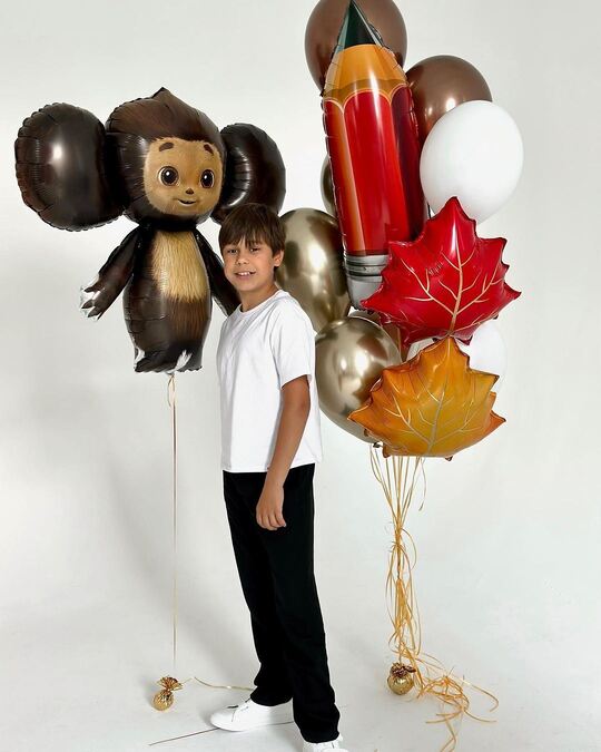 Набор гелиевых шаров в школу