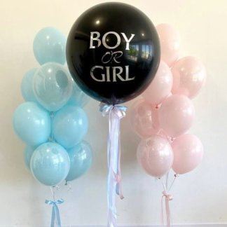Шары на гендер пати с большим шаром