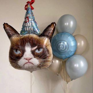 Шары мужчине на день рождения с котом