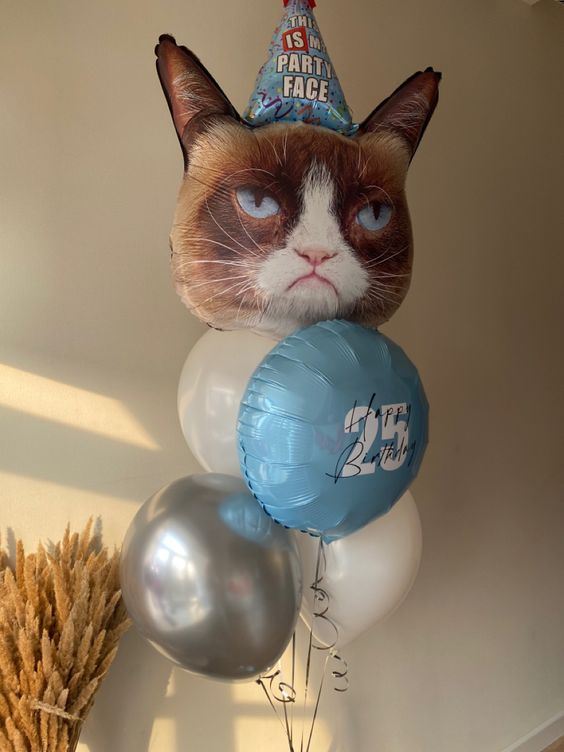 Набор шаров с котом на день рождения