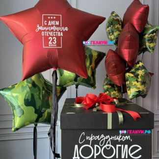 Воздушные шары с гелием для мужчин «23 февраля»