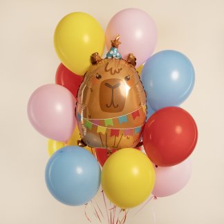 Облако разноцветных шаров капибара